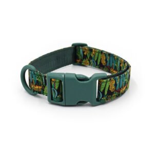 Rainbow Shine Custom Collar Blue 01