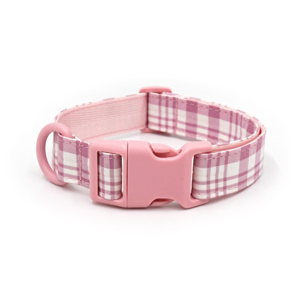 Rainbow Shine Custom Collar Blue 02