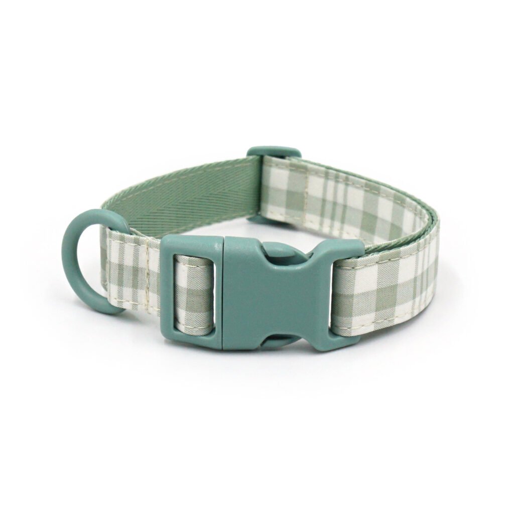 Rainbow Shine Custom Collar Blue 05