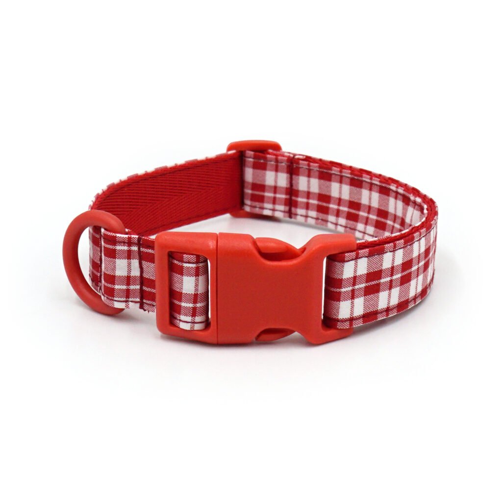 Rainbow Shine Custom Collar Blue 06
