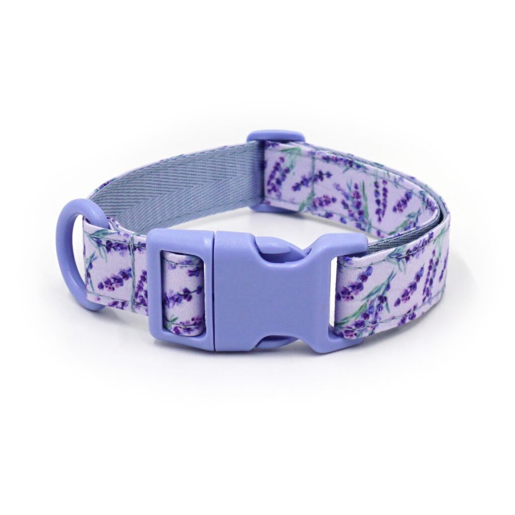 Rainbow Shine Custom Collar Blue 07