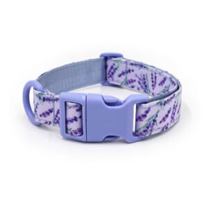 Rainbow Shine Custom Collar Blue 07