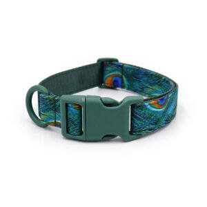 Rainbow Shine Custom Collar Blue 08